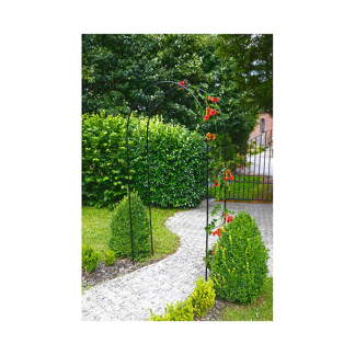 Nature Rozenboog | Nature | 140 x 37 x 240 cm (Metaal, Zwart) 6041801 K170130350 - 3