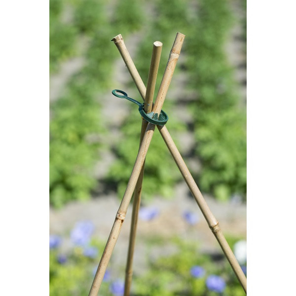 Nature Verbindingsstuk plantenstok | Nature | Ø 8 mm | 3 stuks (Ring, Wigwam constructie, Kunststof) 6040148 K170106180 - 3