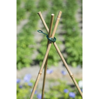 Nature Verbindingsstuk plantenstok | Nature | Ø 8 mm | 3 stuks (Ring, Wigwam constructie, Kunststof) 6040148 K170106180 - 3