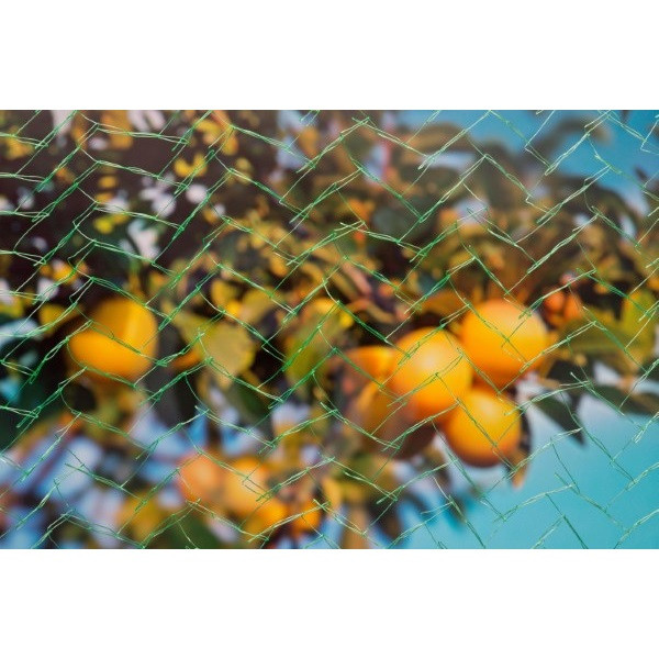 Nature Vogelnet | Nature | 10 x 2 meter (6 x 6 mm, Uv-bestendig, Groen) 6030421 K170112124 - 2