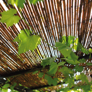 Nature Wilgenmat | Nature | 300 x 100 cm (Natuurlijk) 6052150 K170105557 - 2