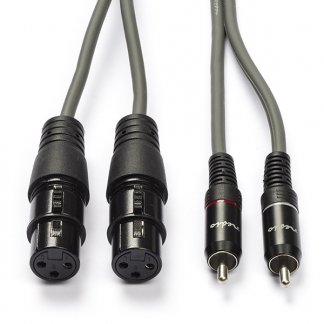 Nedis 2 x XLR naar Tulp kabel | V ↔ M | Nedis | 3 meter (Gebalanceerd, Stereo, 100% koper) COTH15230GY30 N010307031 - 2