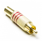 Nedis RCA connector | Nedis (Knikbescherming, Mannelijk, Verguld) CAGP24900RD N060204016