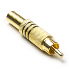 RCA connector | Nedis (Mannelijk, Verguld)