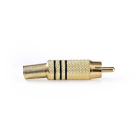 RCA connector | Nedis (Mannelijk, Verguld)