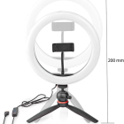 Nedis Ring lamp | Nedis (Ø26 cm, 120 leds, 2700 - 6700K, Statief) RLSTND100BK K170202780 - 3