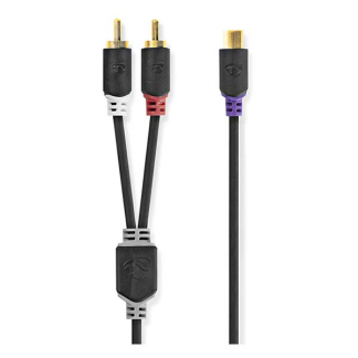 Nedis Tulp splitterkabel | V ↔ M | Nedis | 0.2 meter (Mono, Trekontlasting, Verguld) CABW24020AT02 N010302203 - 2