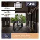 Perel Vloerventilator | Perel | Ø 60 cm (2 standen, Kantelbaar) CFAN0460 K170104068 - 5