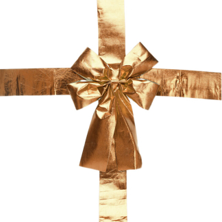PerfectLED Deurstrik | PerfectLED | 33 x 42 cm (Goud) AWR413650 K151001043