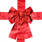 Deurstrik | PerfectLED | 33 x 42 cm (Rood)