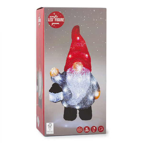 PerfectLED Kerstfiguur kabouter | PerfectLED | 21 x 13.5 x 39 cm (Acryl, Timer, Binnen/Buiten) AMC000050 K151000772 - 4