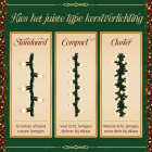 PerfectLED Standaard kerstverlichting | 0.95 meter | PerfectLED (20 leds, Batterijen, Timer, 8 lichtfuncties, Binnen/Buiten, Warm wit) AX9731700 K151002244 - 4