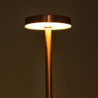 PerfectLED Tafellamp | PerfectLED | Ø 8 x 34 cm (Led, Oplaadbaar, Aanpasbare kleurtemperatuur, USB C, Metaal, Rose goud) ANC000950 K150204396 - 3