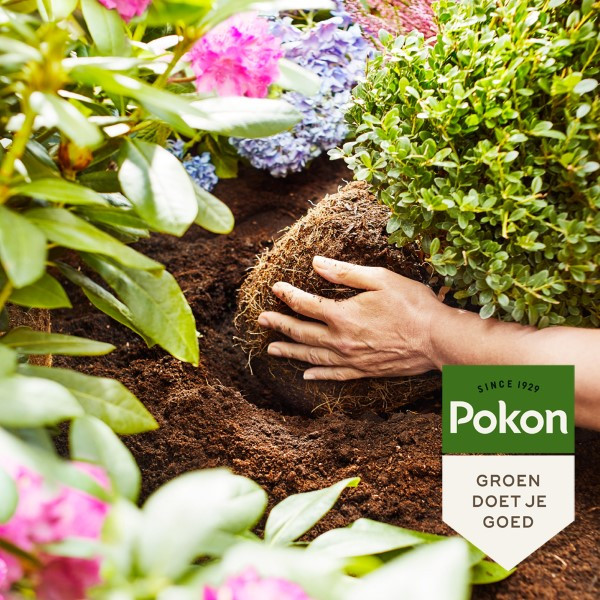 Pokon Aanplantgrond pallet | 600 liter | Pokon (Zuurminnende planten, Bio-label)  P170116150 - 7