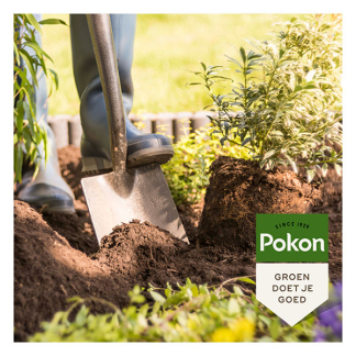 Pokon Aanplantgrond tuinplanten, bomen en hagen | Pokon | 30 liter (Bio-label, Turfvrij) 7002001100 K170115884 - 4