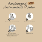 Pokon Aanplantgrond zuurminnende planten | Pokon | 30 liter (Bio-label) 7898820400 K170116150 - 4