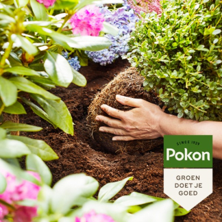 Pokon Aanplantgrond zuurminnende planten | Pokon | 30 liter (Bio-label) 7898820400 K170116150 - 