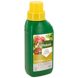 Pokon Anthurium voeding | Pokon | 250 ml (Vloeibaar) 7295313100 K170116117 - 