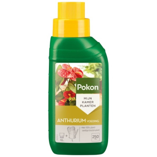 Pokon Anthurium voeding | Pokon | 250 ml (Vloeibaar) 7295313100 K170116117 - 