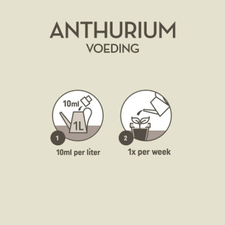 Pokon Anthurium voeding | Pokon | 250 ml (Vloeibaar) 7295313100 K170116117 - 