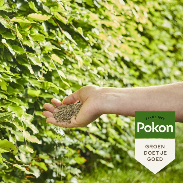 Pokon Beuken en hagen mest | Pokon | 2.5 kg (25 m² ) 7185799100 K170116130 - 5