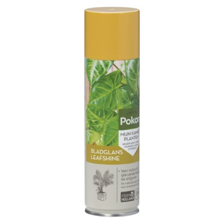 Pokon Bladglans | Pokon | 250 ml (Natuurlijke glans) 7703435998 K170116111 - 