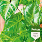 Pokon Bladglans | Pokon | 250 ml (Natuurlijke glans) 7703435998 K170116111 - 5