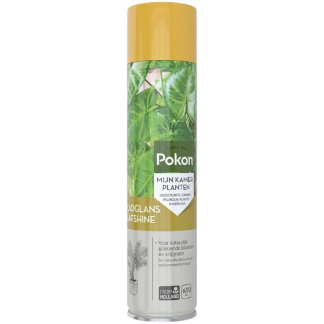 Pokon Bladglans | Pokon | 600 ml (Natuurlijke glans) 7703436216 K170116112 - 