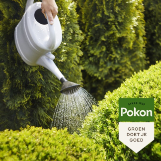 Pokon Bladgroenhersteller | Pokon | 500 gram (Groene planten, Bitterzout, Poeder) 7644678100 K170115056 - 