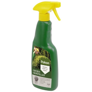 Pokon Bladgroenhersteller | Pokon | 500 ml (Groene planten, Gebruiksklaar, Spray) 7212442100 K170116004 - 