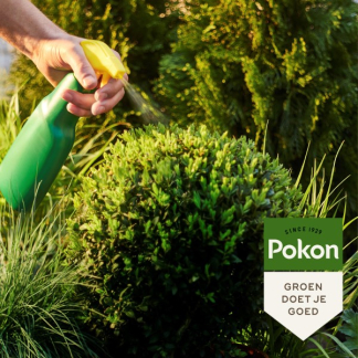 Pokon Bladgroenhersteller | Pokon | 500 ml (Groene planten, Gebruiksklaar, Spray) 7212442100 K170116004 - 