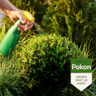 Pokon Bladgroenhersteller | Pokon | 500 ml (Groene planten, Gebruiksklaar, Spray) 7212442100 K170116004 - 5