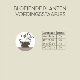 Pokon Bloeiende kamerplanten voeding | Pokon | 24 stuks (Staafjes) 7152178402 K170115046 - 