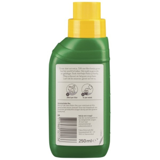 Pokon Bloeiende kamerplanten voeding | Pokon | 250 ml (Vloeibaar) 7286275100 K170116113 - 