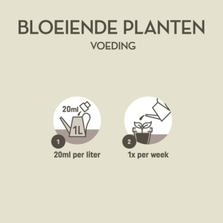 Pokon Bloeiende kamerplanten voeding | Pokon | 250 ml (Vloeibaar) 7286275100 K170116113 - 