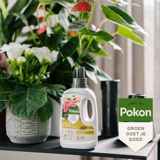 Pokon Bloeiende kamerplanten voeding | Pokon | 500 ml (Vloeibaar, Bio-label) 7500313100 K170112302 - 