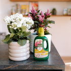 Pokon Bloeiende kamerplanten voeding | Pokon | 500 ml (Vloeibaar, Bio-label) 7500313100 K170112302 - 6