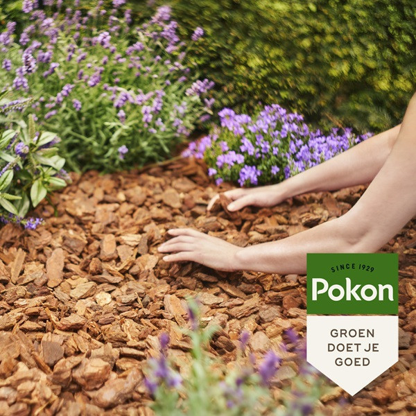 Pokon Boomschors | Pokon | 120 liter (Pinus Pinaster, 25-45 mm)  V170505350 - 5