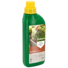 Buxusvoeding | Pokon | 500 ml