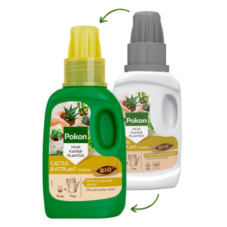 Pokon Cactus en vetplant voeding | Pokon | 250 ml (Vloeibaar) 7293313100 7300313100 K170116119 - 3