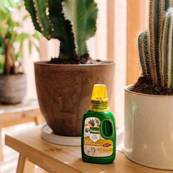 Pokon Cactus en vetplant voeding | Pokon | 250 ml (Vloeibaar) 7293313100 7300313100 K170116119 - 5