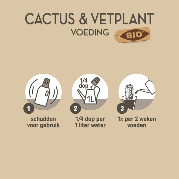 Pokon Cactus en vetplant voeding | Pokon | 250 ml (Vloeibaar) 7293313100 7300313100 K170116119 - 4