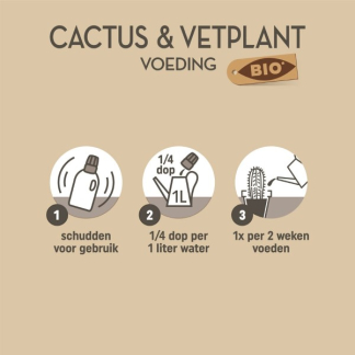 Pokon Cactus en vetplant voeding | Pokon | 250 ml (Vloeibaar, Bio-label) 7300313100 K170112307 - 