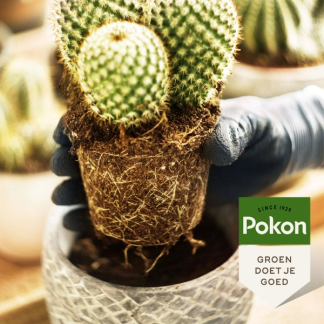 Pokon Cactus potgrond | Pokon | 100 liter  W170116158 - 