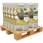 Pokon Cactus potgrond | Pokon | 100 liter  W170116158 - 1