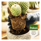 Pokon Cactus potgrond | Pokon | 5 liter (Bio-label, Turfvrij) 724081 K170115886 - 4