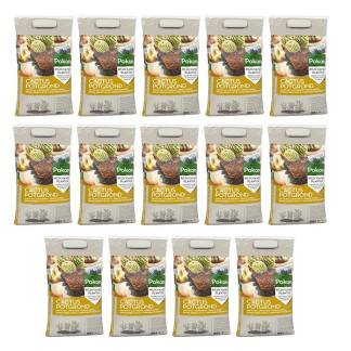 Pokon Cactus potgrond | Pokon | 70 liter (RHP)  V170116158 - 1