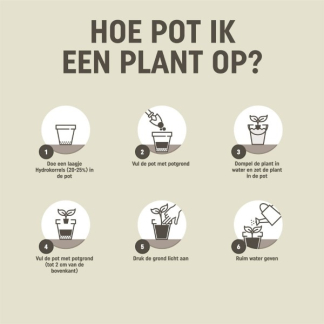 Pokon Cactus potgrond pallet | 400 liter | Pokon (Bio-label)  X170116158 - 6