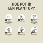 Pokon Cactus potgrond pallet | 400 liter | Pokon (Bio-label)  X170116158 - 6