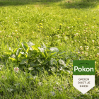Pokon Compleet gazonpakket | Pokon | 125 m² (Gazonmest, graszaad en onkruidverdelger)  K170116026 - 4